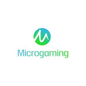 Microgaming Casinoer hero image